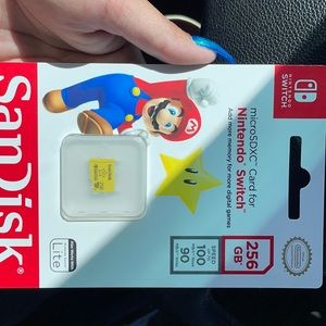 Nintendo switch 256 micro chip